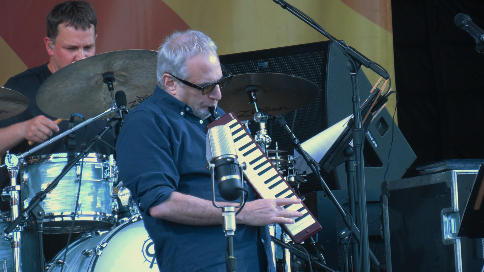 Donald Fagen on Melodica